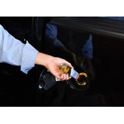 Gumout 800001367 Fuel System Cleaner, 6 oz.