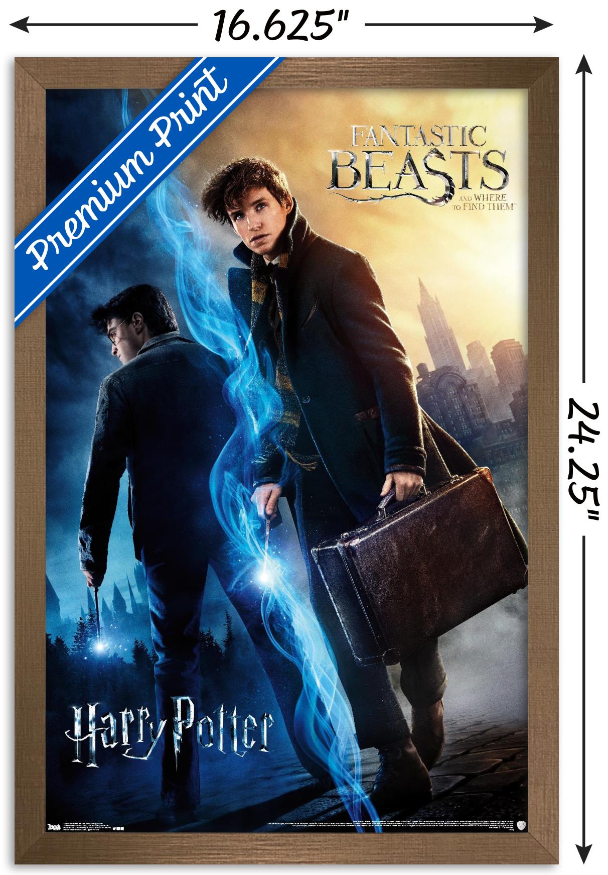 The Wizarding World: Harry Potter and Fantastic Beasts Wall Poster, 14.725" x 22.375", Framed