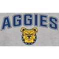 thumbnail image 2 of Men's Ash North Carolina A&T Aggies Proud Mascot T-Shirt, 2 of 2