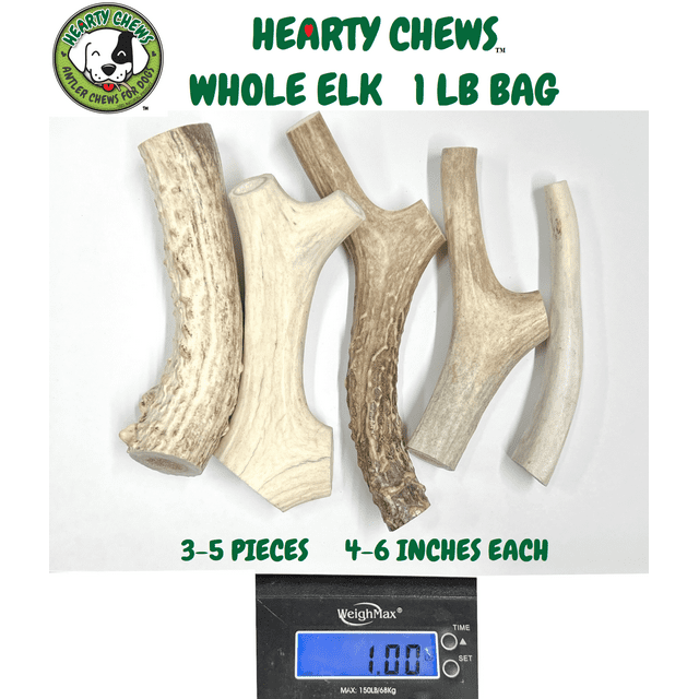 Hearty Chews Premium ELK Antlers for Dogs, Naturally Shed, 100