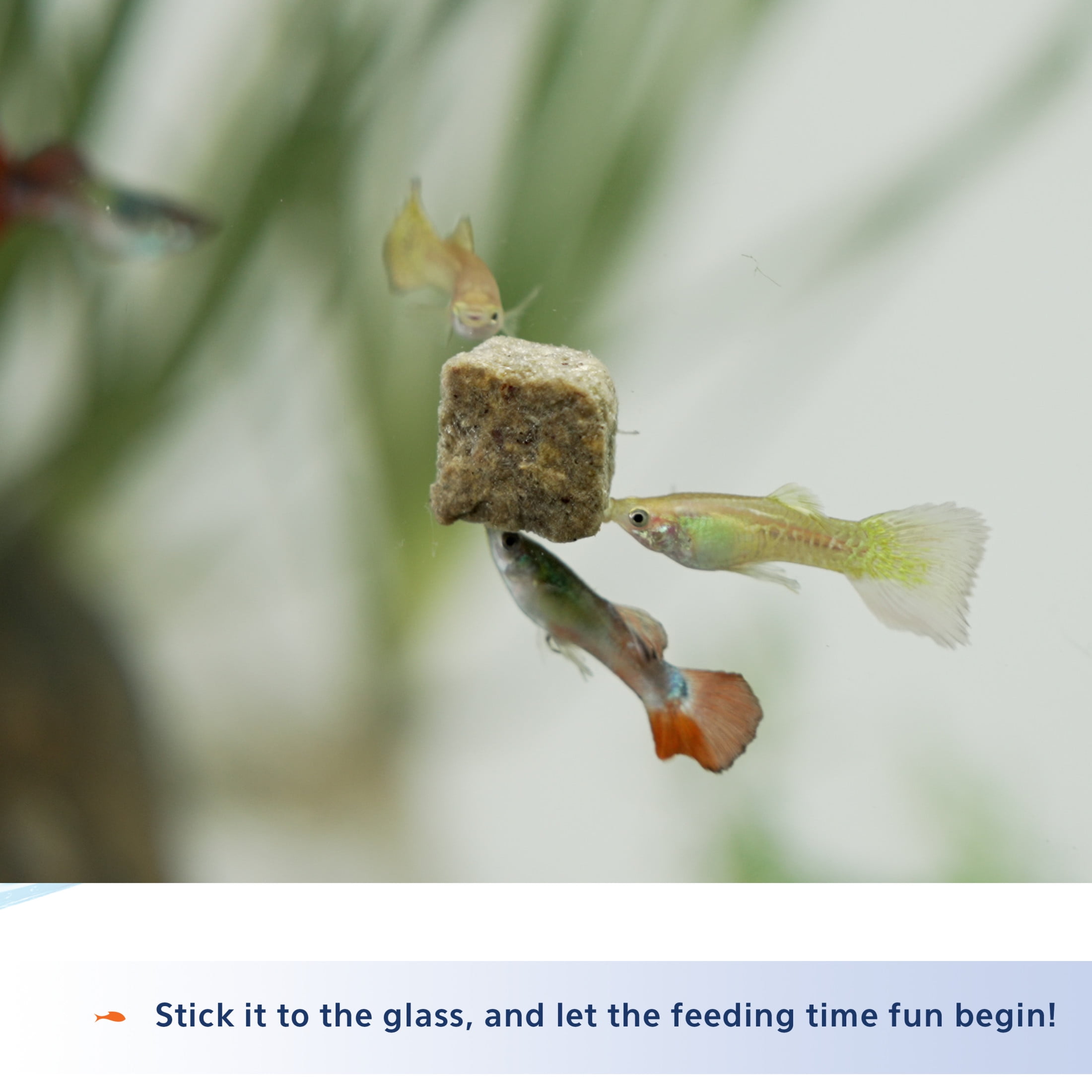 Aqueon® Stick'ems™ Freeze-Dried High Protein Treat