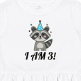 thumbnail image 4 of Inktastic 3rd Birthday Funny Raccoon 3 Year Old Girls Toddler Dress, 4 of 5