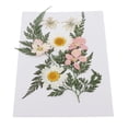 thumbnail image 2 of Abbracc Assorted Natural Real Pressed Dried Flowers/Pressed Leaves For Resin Jewelry B, 2 of 9