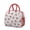Red-21, variant on Lunch Bag Lunch Box for Women Reusable Insulated Lunch Bags,Water-Resistant Strawberry Plants Fruit Cooler Lunch Tote Bag, Large Capacity for Work Travel Picnic