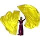 thumbnail image 1 of Xihbxyly Banderas de Alabanza y Adoración, Diseño Reflectante Brillante, Poliéster Suave, Juego de Accesorios de Baile, Ideal para Presentaciones, Desfiles y Festivales, Apto para Todas Las Edades, d, 1 of 1