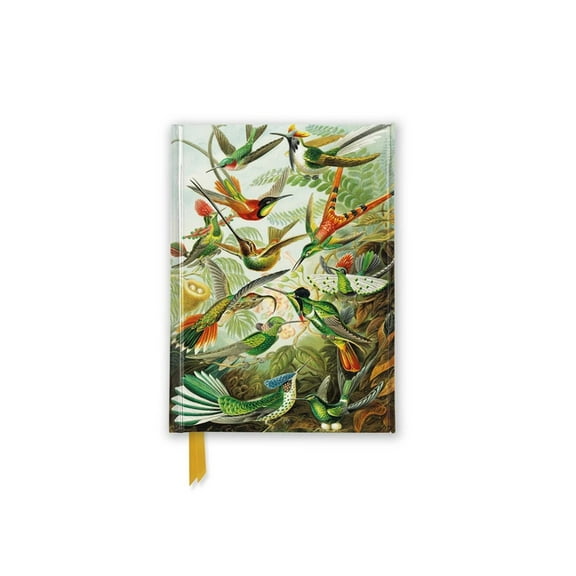 Flame Tree Pocket Notebooks Ernst Haeckel: Hummingbirds (Foiled Pocket Journal), (Hardcover)