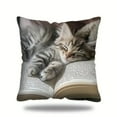 thumbnail image 2 of 1Pc 18X18In Cute Sleeping Cats And Book Pillowcase Short Pile Living Room Sofa Pillowcase Soft Cushion Cover, 2 of 6