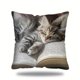 thumbnail image 2 of Cute Sleeping Cats And Book Pillowcase Short Pile Living Room Sofa Pillowcase Soft Cushion Cover, 2 of 6