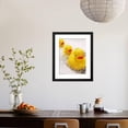 thumbnail image 4 of Rubber Ducks in Bath, Framed Art Print Wall Art by John Miller Sold by Art.Com, 4 of 6