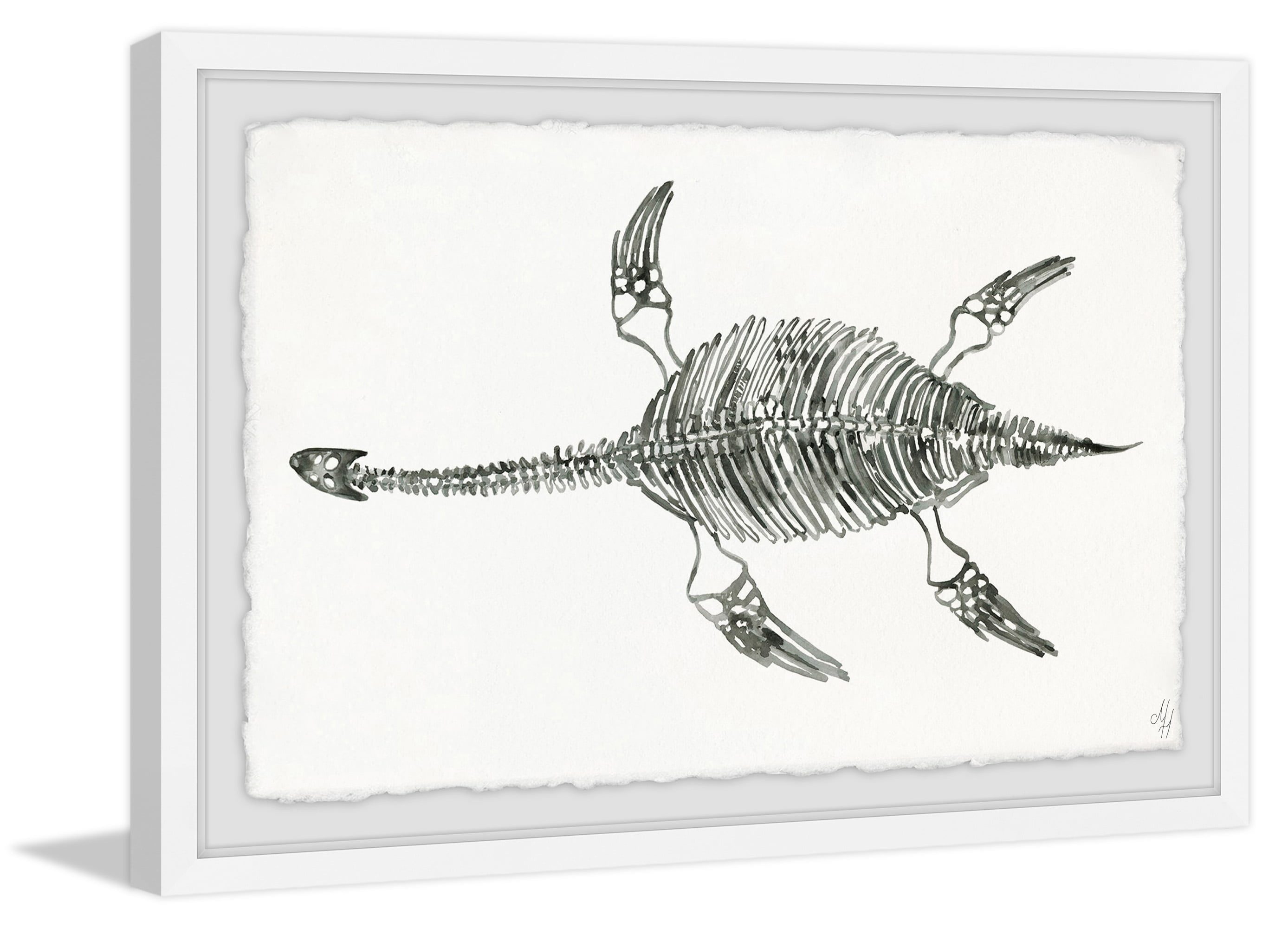 Marmont Hill Elasmosaurus Skeleton Framed Wall Art, 30.00" x 1.50"