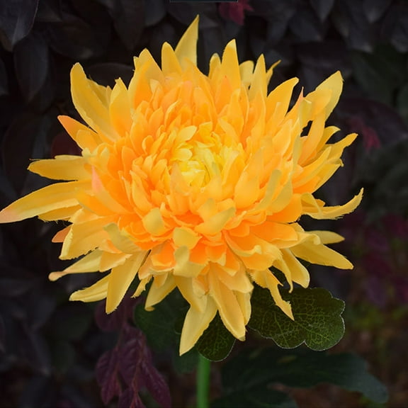 Outdoor Solar Garden Stake Lights,Solar Chrysanthemum Flower LED Lights,Waterproof LED Solar Decorative Powered Lights for Garden Pathway Lawn Yard Cemetery (Yellow,Red,White)