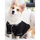 thumbnail image 3 of 1pc Contrast Binding Pet Shirt, 3 of 5