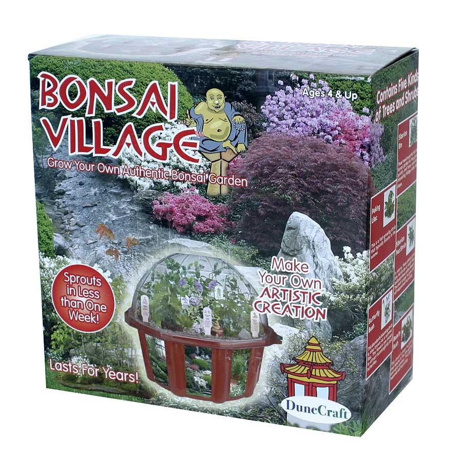 DuneCraft Bonsai Village Garden Kit by Overstock