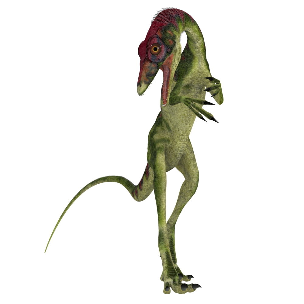 small dinosaur compsognathus
