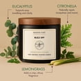 thumbnail image 2 of Majestic Pure Citronella Eucalyptus Lemongrass Scented Candle, 10 oz Jar Candle, 2-Wick Soy Wax Blend, Up to 45+ Hours Burn Time, Refreshing Outdoor Fragrance, Buzz, 2 of 8