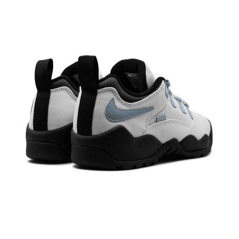 NIKE MENS SB Darwin Low 