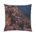 thumbnail image 2 of Ahgly Company Sites Great Barrier Reef Outdoor Throw Pillow, 18 inch by 18 inch, 2 of 6