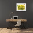 thumbnail image 3 of Baynes, Cheryl 18x15 White Modern Wood Framed Museum Art Print Titled - Sunlit Poppies IV, 3 of 4