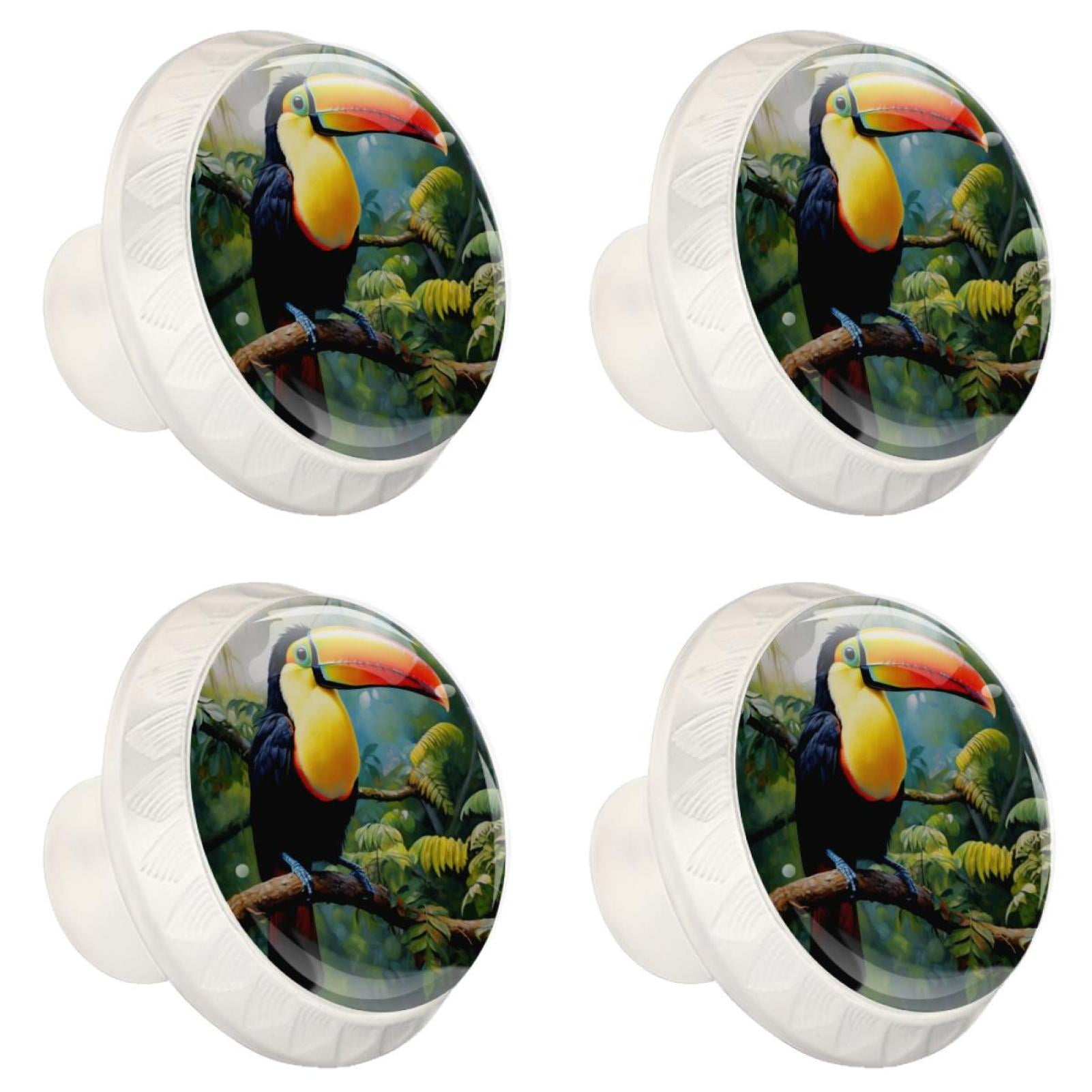 4 Pcs Toucan Knobs for Kitchen Cabinet Cupboard Dresser Bookcase Drawer Pulls Handles Round Home Decor