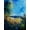 Unframed, variant on Art.com Blue Cornflowers 4505072 Stretched Canvas Print Wall Art by Pol Ledent, 18" x 24"