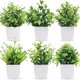 thumbnail image 1 of Yirtree - Plantas artificiales en maceta, topiario de plástico, plantas falsas, eucalipto artificial para decoración de mesa, hogar, oficina, centro de mesa, 1 of 8