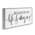 thumbnail image 2 of Stupell Industries Farmhouse Because Of You Life Is Amazing Gray Framed Giclee Art, 30 x 13, by Lux + Me Designs, 2 of 8