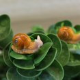 thumbnail image 4 of 50 piezas de serie de plantas suculentas Mini adorno de caracol de paisaje Adorno de artesanía de resina de maceta de animal encantador, 4 of 5