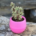 thumbnail image 2 of Mini maceta arcoíris maceta de jardín interior y exterior adecuada para plantas de interior rábano verde, 2 of 5