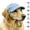 Blue, variant on Pet Baseball Cap with Ear Holes, Dog Baseball Hat,Cat Baseball Hats-Multi-Color Sun Visor Hat for Dogs & Cats, Spring Summer Fall Beach Headwear, Adjustable Breathable Dog Cap for Pets