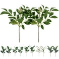 thumbnail image 1 of Cheer.US 10 Pcs Artificial Greenery Stems Eucalyptus Clove Leaves&nbsp;Faux Handmade Garland Leaves Foliage Plants Greenery Stems Plastic Plants Floral for Home Party Wedding Decoration, 1 of 7