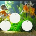 thumbnail image 3 of PBPBOX Floating Betta Toys Plastic Round 1 Set 2.8x2.8in, 3 of 8
