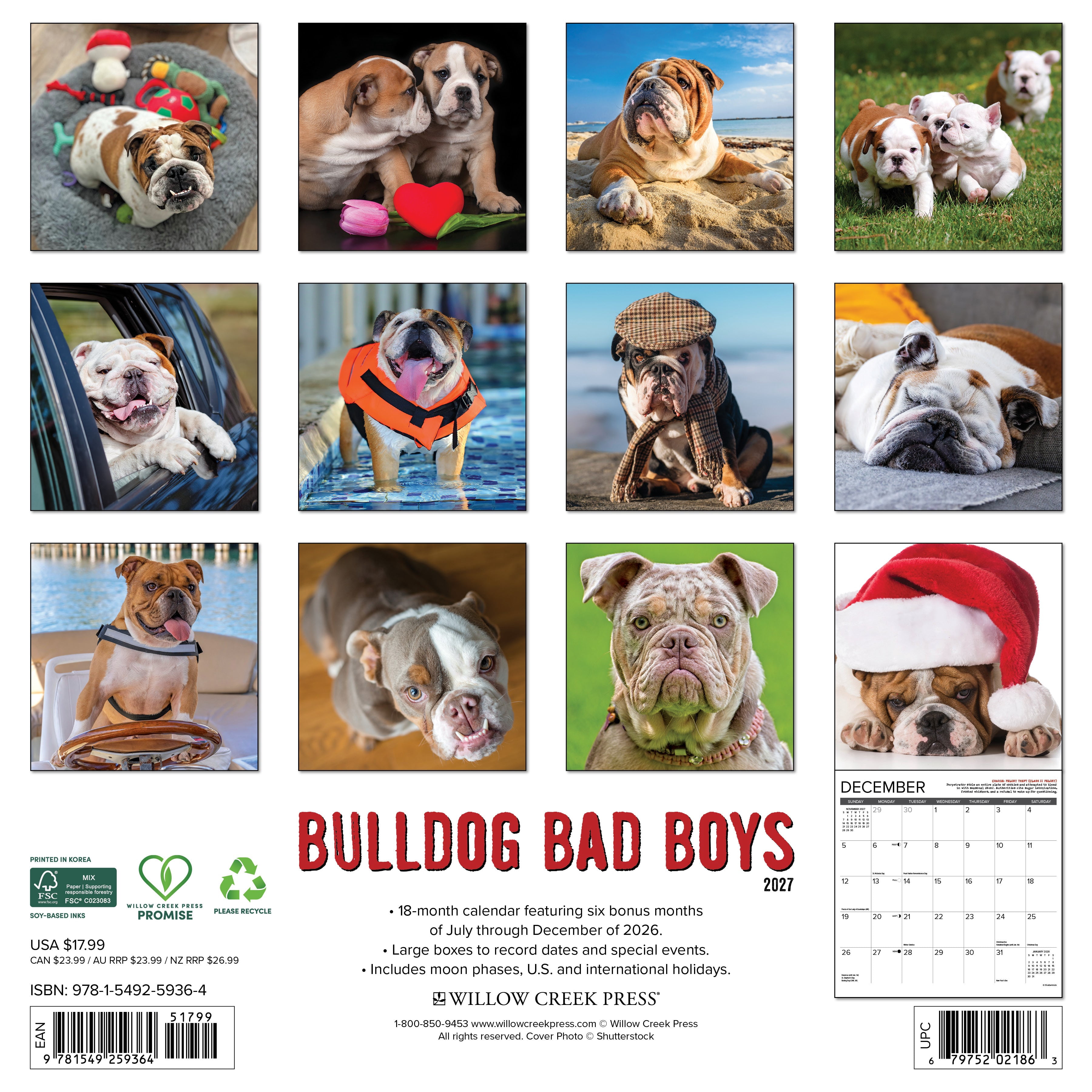 Willow Creek Press, Bulldog Bad Boys 2027 Wall Calendar