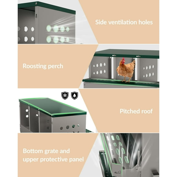 GloryStar Chicken Laying Box - 10 Compartment Roll Away Nest with Perch & Automatic Egg Collection