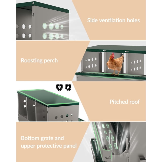 GloryStar Chicken Laying Box - 10 Compartment Roll Away Nest with Perch & Automatic Egg Collection