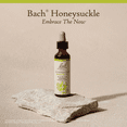 thumbnail image 5 of Bach Original Flower Remedies, Honeysuckle - 20 mL Dropper, 5 of 6