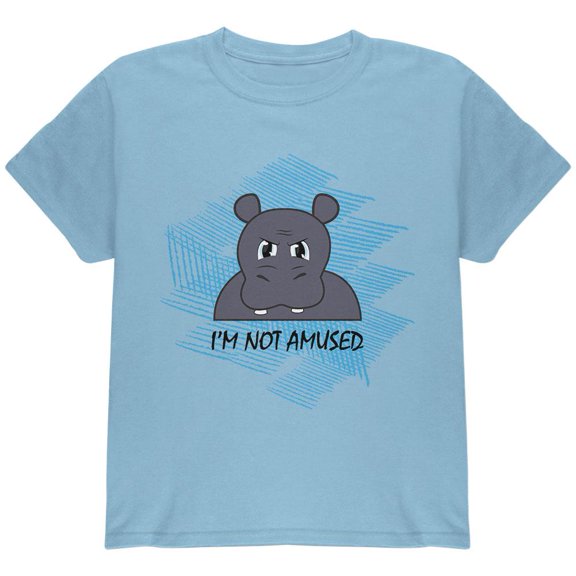 Hippo Not Amused Funny Youth T Shirt Light Blue YMD