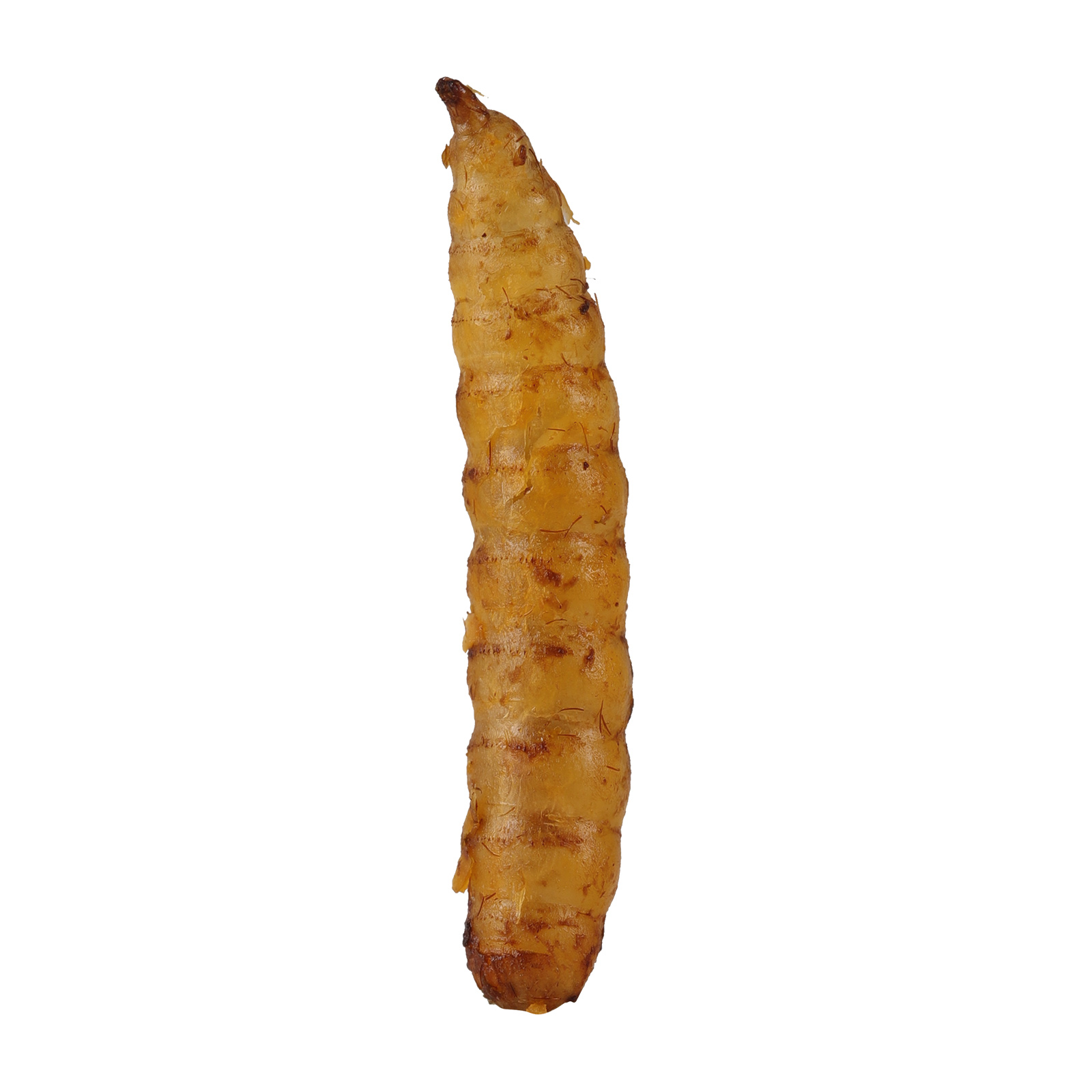 RIDWIND Dried Black Solidier Fly Larvae 44Lbs High-Protein BSF Larvae Chicken Treats Non-GMO BSFL for Chickens Hens, Ducks Wild Birds