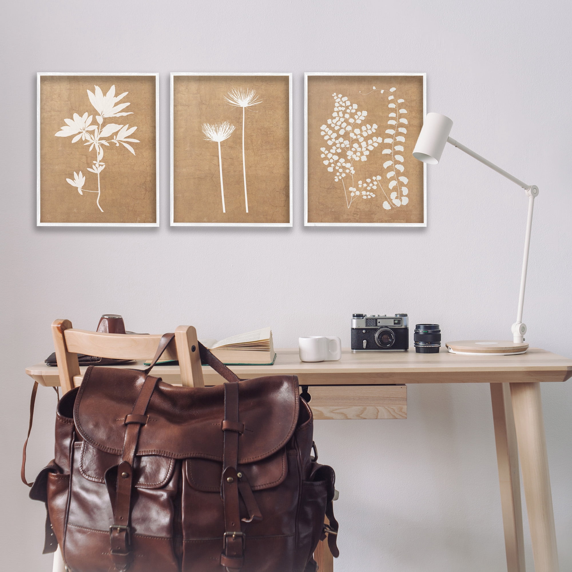 Stupell Industries Nature Botanical Silhouettes Botanical & Floral Painting White Framed Art Print Wall Art, 16 x 20, Set of 3