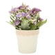 thumbnail image 2 of Planta en maceta con margaritas artificiales, simulación de maceta con margaritas artificiales, maceta con margaritas artificiales, compacta y ligera, 2 of 12