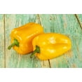 thumbnail image 4 of 100 Seeds CANARY BELL PEPPER Sweet Yellow Capsicum Annuum Vegetable Seeds, 4 of 9