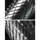 thumbnail image 3 of 10PCS Carbide Burr Set for Dremel Compatible Mars-Rock Carbide Burr Set, 3 of 5