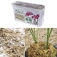 thumbnail image 2 of 12l / 6l Sphagnum Moss Moisturizing Organic Fertilizer For Orchid Phalaenopsis, 2 of 5