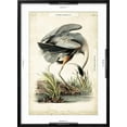 thumbnail image 5 of Art.com Great Blue Heron Art Print by John James Audubon, Black Frame Wall Art, 21" x 29", 5 of 5