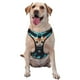 thumbnail image 1 of Fotbe Underwater Diving Cat Arnés para Perro con Estampado –Chaleco Ajustable Acolchado con Asa de Control para Perros Grandes-X-Large, 1 of 6