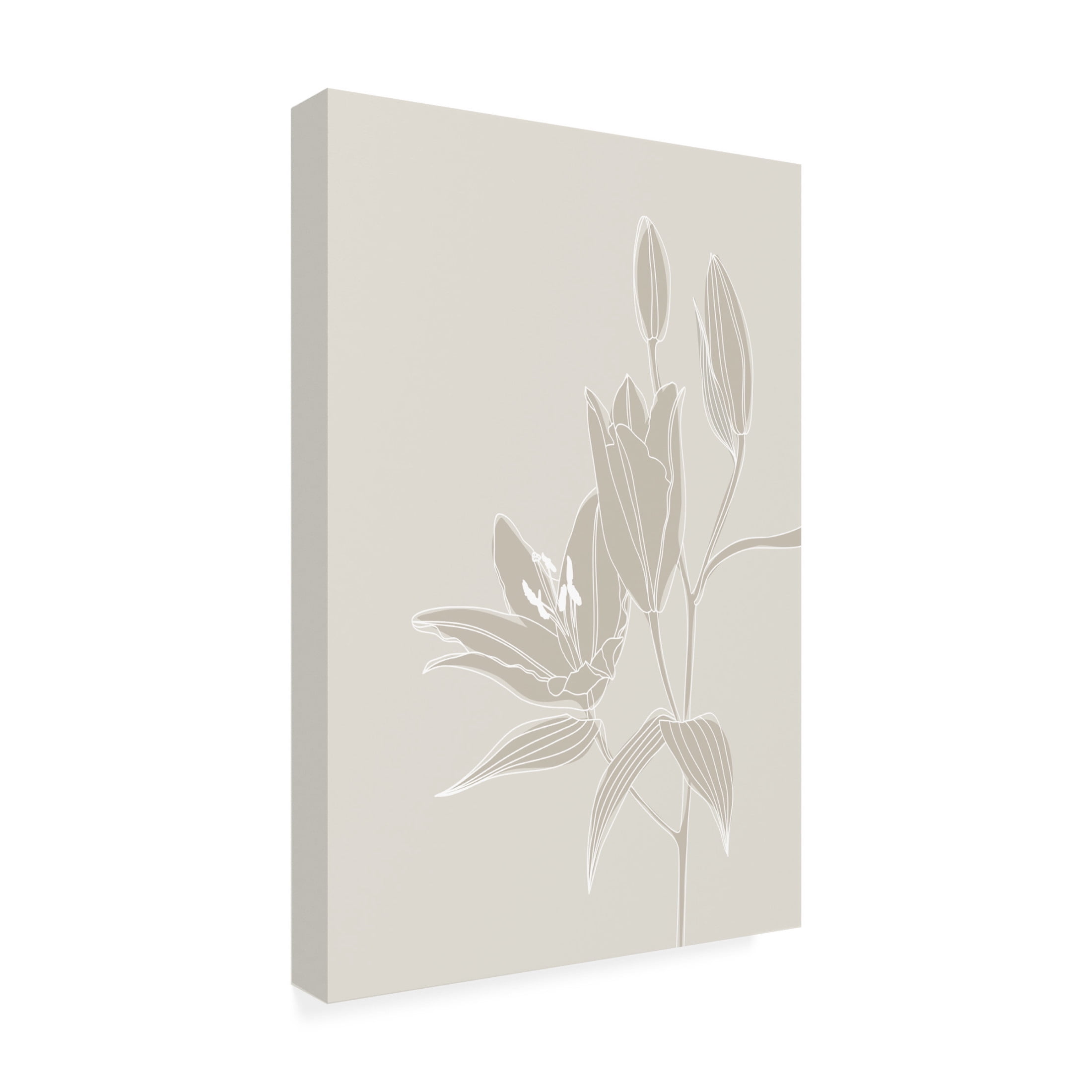 Trademark Fine Art Rosana Laiz Blursbyai Line art lillies in white Canvas Wall Art
