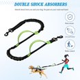 thumbnail image 4 of Correa para perro manos libres con bolsa con cremallera, correa para correr para perro con cinturón ajustable y, correa elástica reflectante manos libres para perros medianos a grandes (verde), 4 of 5