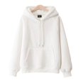 thumbnail image 1 of ML 100 Coton Double Couche Chapeau Manches Raglan Sweat à Capuche Femmes Nouveau Pull Uni Ample Printemps Automne Veste à Capuche, 1 of 6