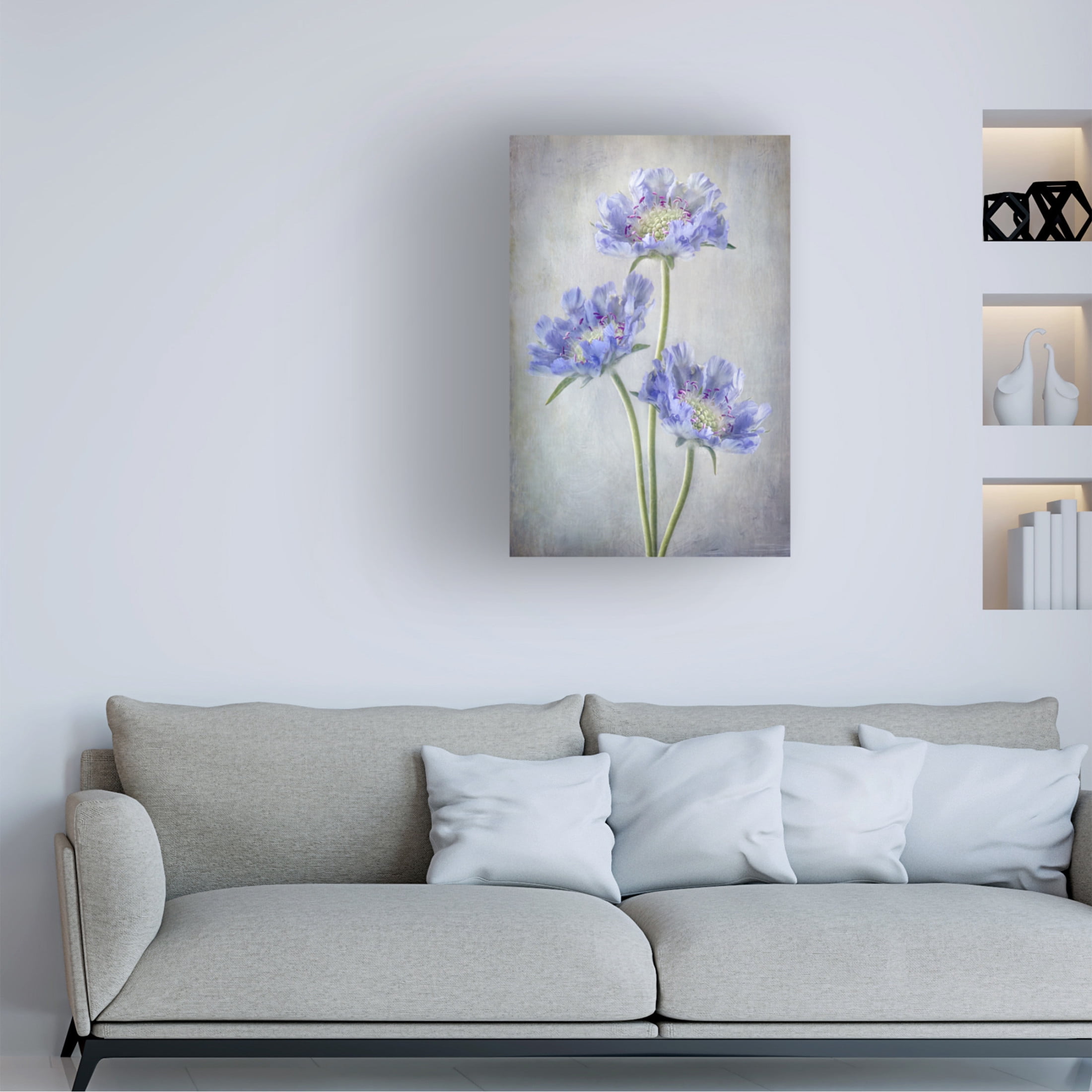 Canvas Wall Art - Mandy Disher 'Scabiosa' Wall Art for Living Room, Bedroom, or Office Décor by Trademark Fine Art - 30 x 47 Inches