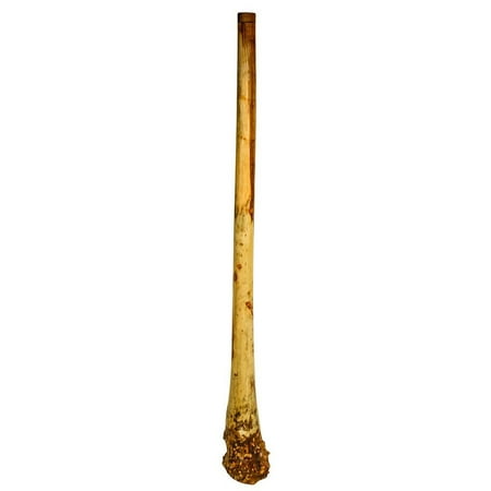 Handmade Didgeridoo Eucalyptus (Root)