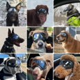 thumbnail image 2 of Gafas para Perro PETLESO para Razas Grandes, a Prueba de Viento y Anti-UV Negras, 2 of 9